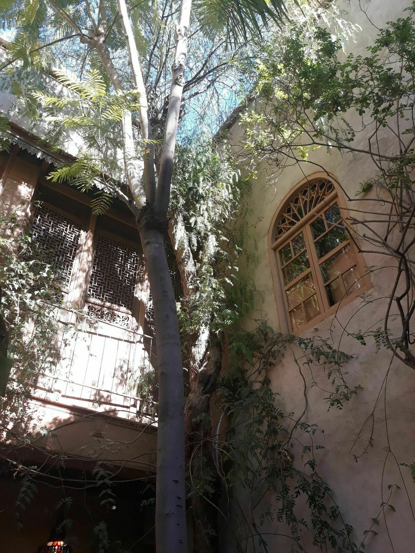 Riad Kbour & Chou Marrakesh Exterior photo